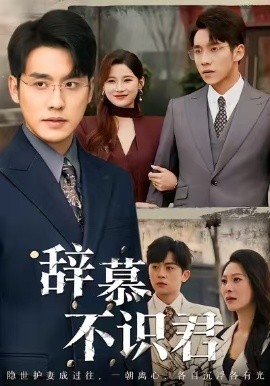 辞慕不识君 七年情深终成侮全集