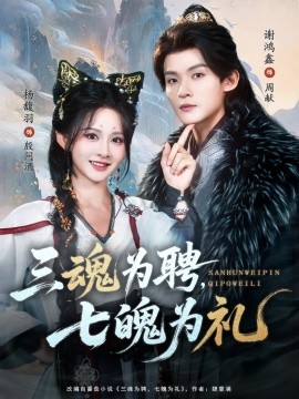 三魂为聘，七魄为礼全集