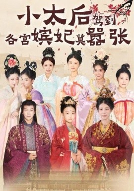 小太后驾到，各宫嫔妃莫嚣张全集