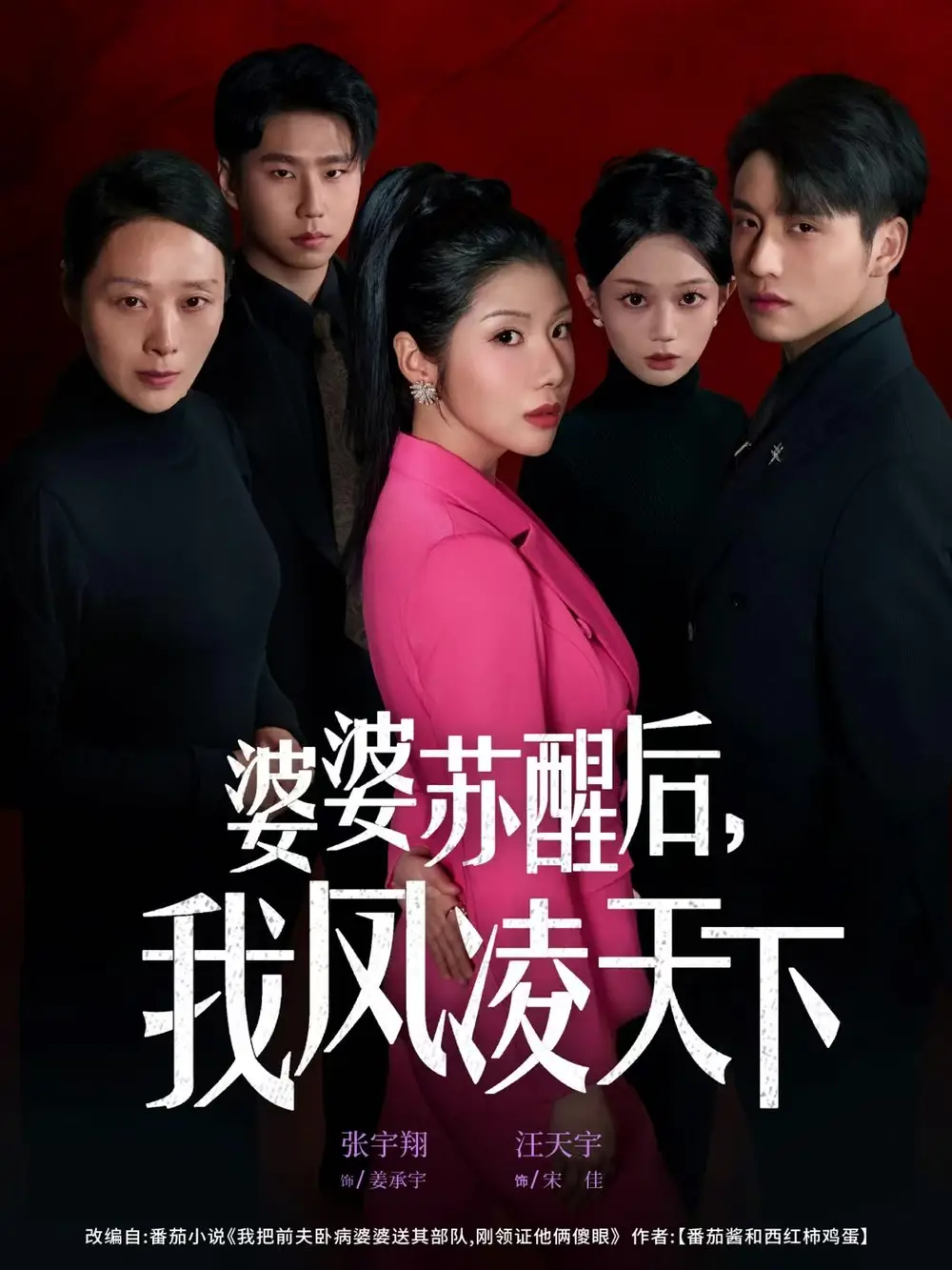 婆婆苏醒后，我凤凌天下全集