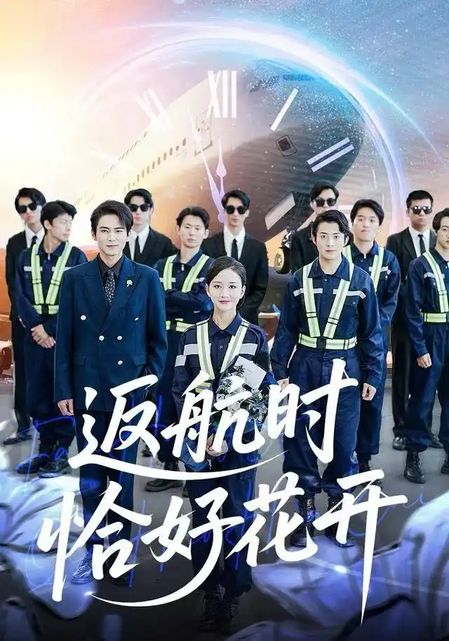 返航时恰好花开全集