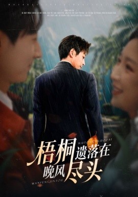 梧桐遗落在晚风尽头全集