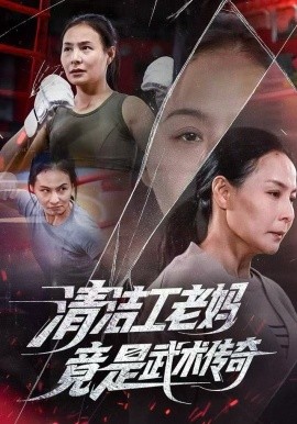 清洁工老妈，竟是武术传奇全集