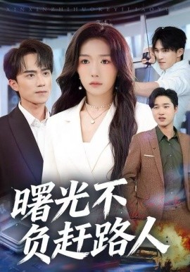 曙光不负赶路人全集