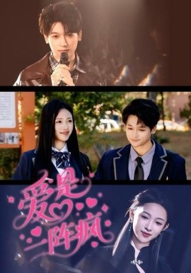 爱是一阵疯全集