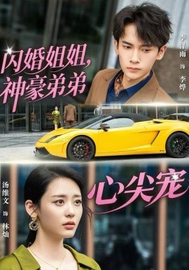 闪婚姐姐，神豪弟弟心尖宠全集