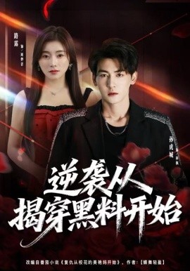 逆袭从揭穿黑料开始全集