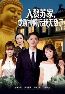 入赘苏家，觉醒神瞳后我无敌了全集