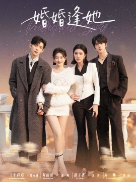 婚婚逢她全集