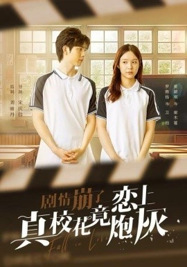 剧情崩了真校花竟恋上炮灰全集