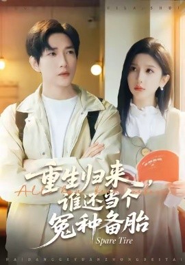 重生归来谁还当个冤种备胎全集