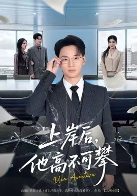 上岸后，他高不可攀全集