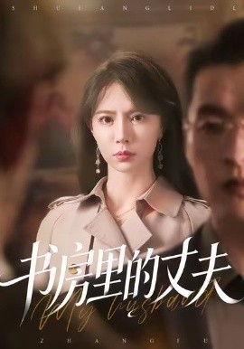 书房里的丈夫全集