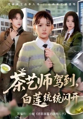 茶艺师驾到白莲统统闪开全集