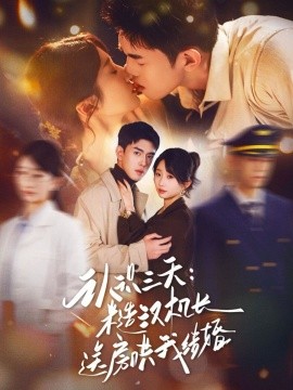 认识三天糙汉机长送房哄我结婚全集