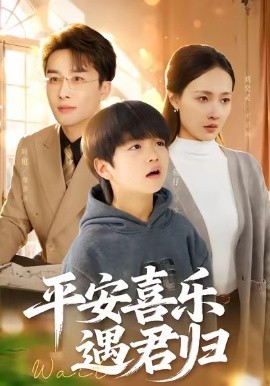 平安喜乐遇君归 天才宝贝寻爹计全集
