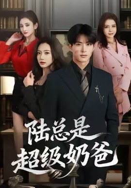 陆总是超级奶爸全集