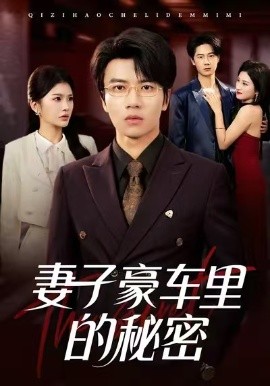 妻子豪车里的秘密全集