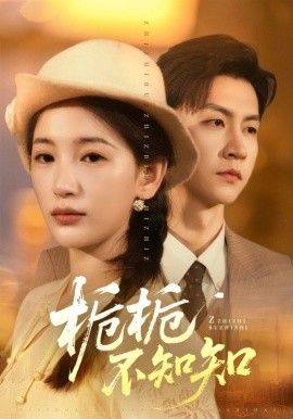 栀栀不知知全集