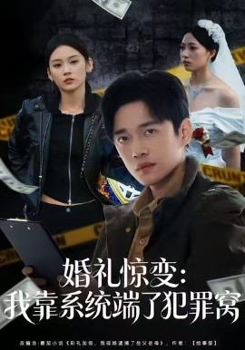 婚礼惊变：我靠系统端了犯罪窝全集