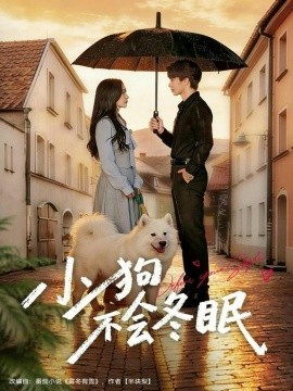 小狗不会冬眠全集