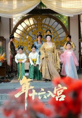 年十六入宫全集