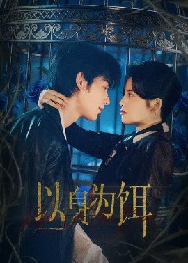 以身为饵短剧全集