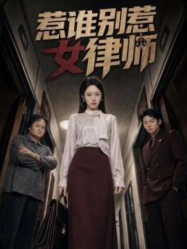 惹谁别惹女律师全集