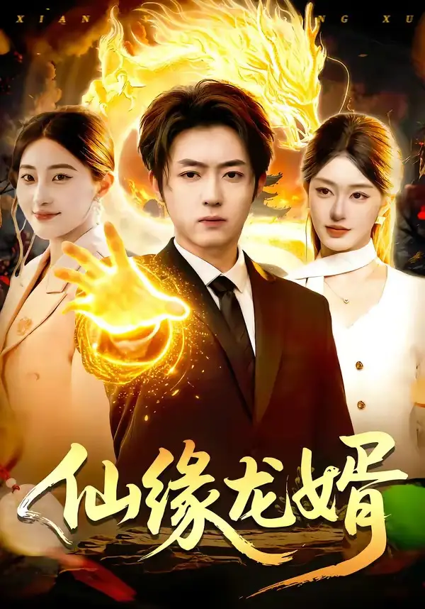 仙缘龙婿全集