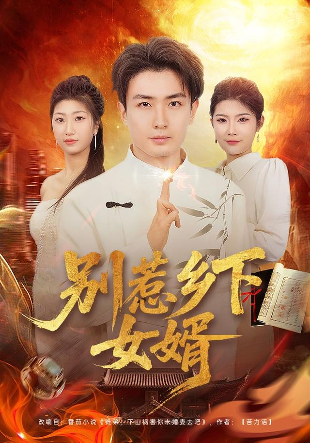 别惹乡下女婿全集