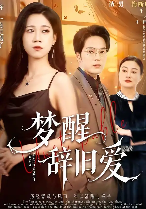 梦醒辞旧爱全集