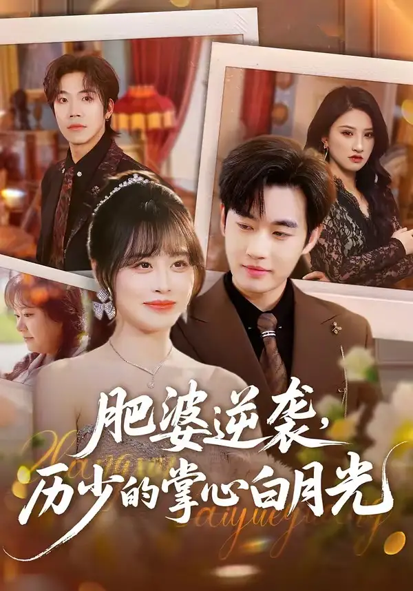 肥婆逆袭，历少的掌心白月光全集