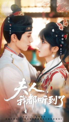 夫人，我都听到了 夫人每天都想被休全集