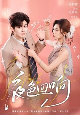 夜色回响全集