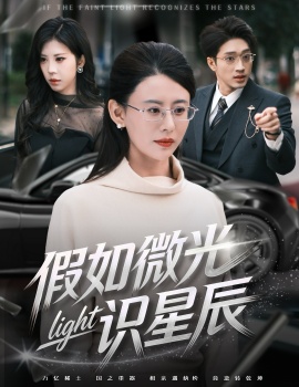 假如微光识星辰全集