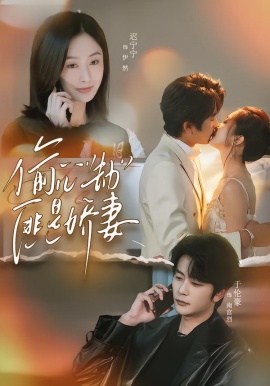 偷心劫匪是娇妻全集