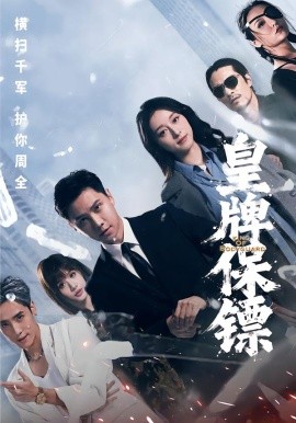 皇牌保镖全集