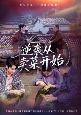 逆袭从卖菜开始全集