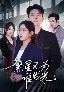 繁星不为谁发光全集