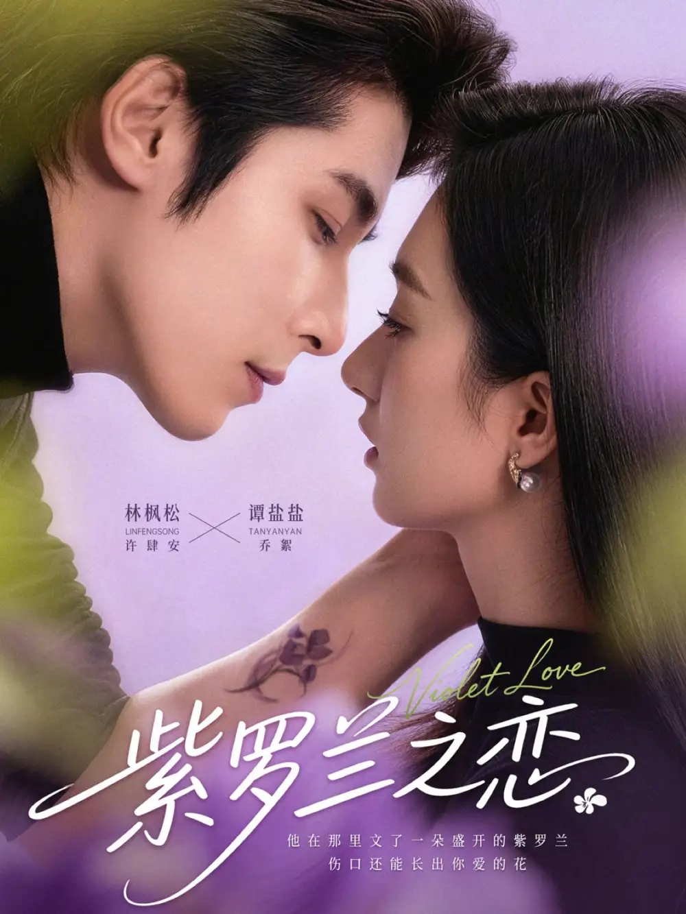 紫罗兰之恋全集