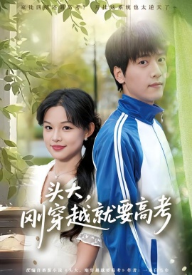头大，刚穿越就要高考全集