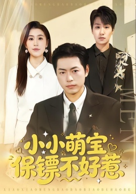 小小萌宝保镖不好惹全集
