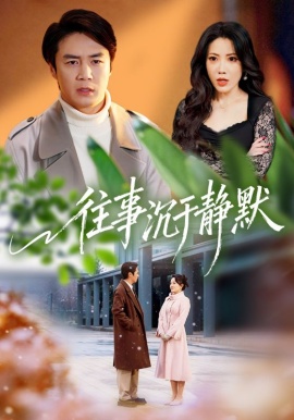 往事沉于静默全集