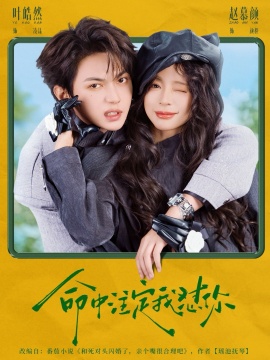 命中注定我怼你全集