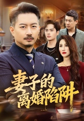 妻子的离婚陷阱全集