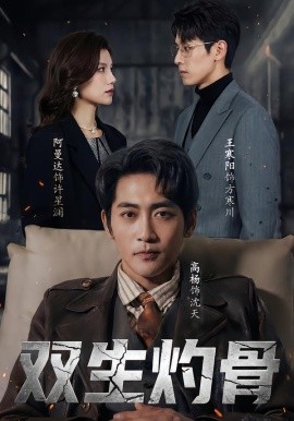 双生灼骨全集