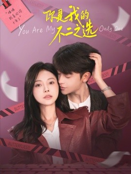 你是我的不二之选全集