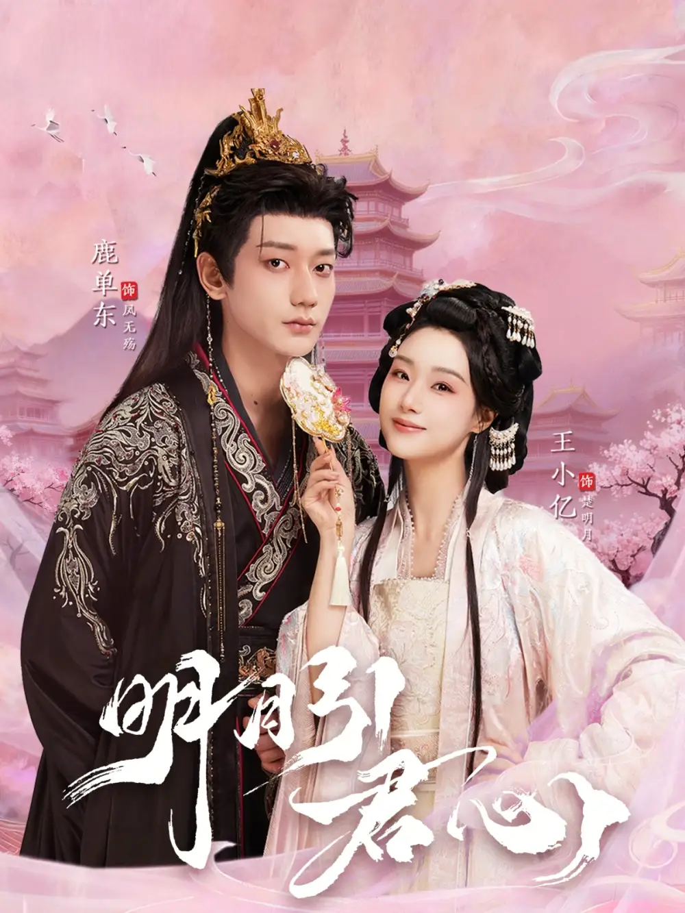 明月引君心全集