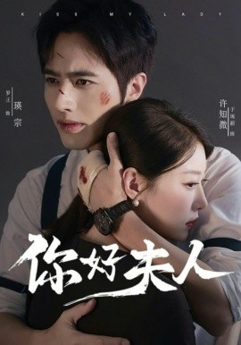 你好夫人全集