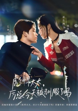 彪悍太太，厉总今天被驯服了吗全集